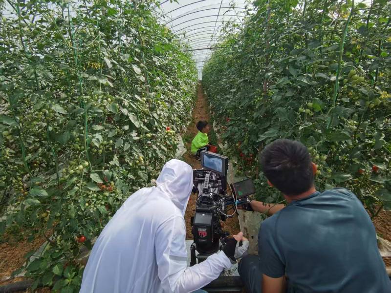 叶城县产品宣传视频拍摄公司进阶指南，助力品牌抢占传播高地